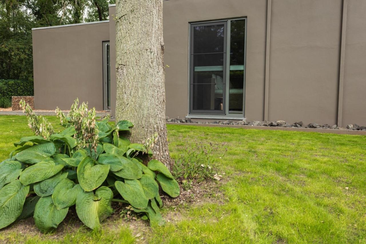 Bed & Breakfast Nummer5 Heusden-Zolder エクステリア 写真